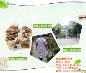 創新科技，清新環境 探索垃圾除臭的有效方法