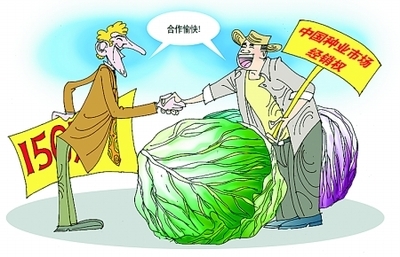 新野農民買斷荷蘭蔬菜種子經銷權 中國農業的逆行突圍